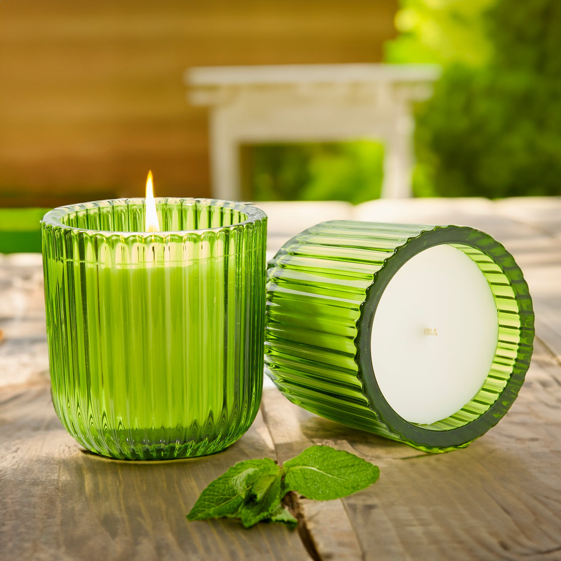 Eucalyptus Mint Citronella 1 wick candle in color glass 8oz.