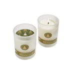Fresh Cut Balsam & Pine candle in frosted glass 5oz.