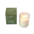 Fir Candle Glass In Box 8oz.