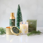Fir Candle Glass In Box 8oz.