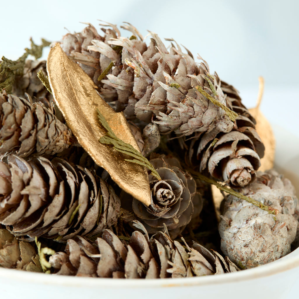 Fir Potpourri 14.5oz.