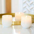 Birchwood & Spruce candle in white decorative glass 5oz.